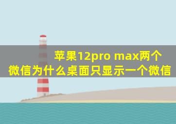 苹果12pro max两个微信为什么桌面只显示一个微信